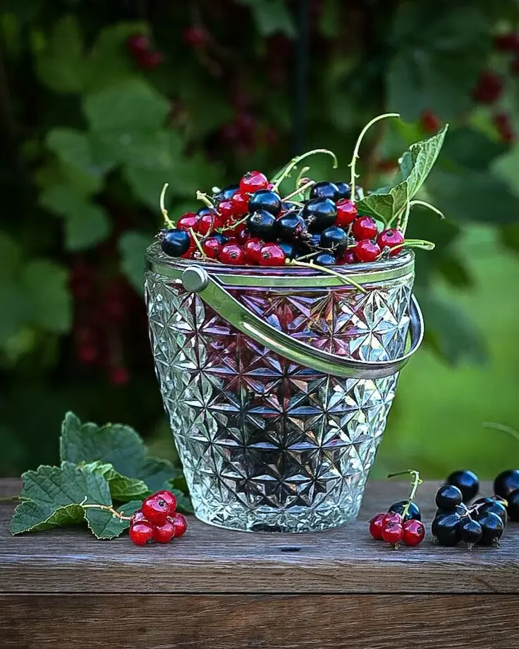 Компот из смородины: незаменимый вкус лета в каждой банке